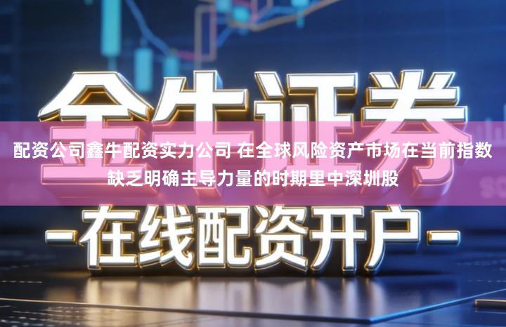 配资公司鑫牛配资实力公司 在全球风险资产市场在当前指数缺乏明确主导力量的时期里中深圳股