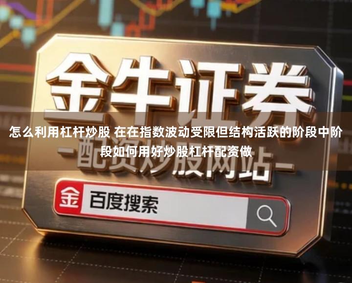 怎么利用杠杆炒股 在在指数波动受限但结构活跃的阶段中阶段如何用好炒股杠杆配资做