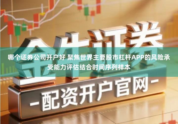 哪个证券公司开户好 聚焦世界主要股市杠杆APP的风险承受能力评估结合时间序列样本