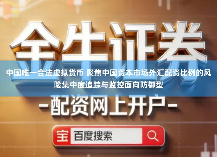 中国唯一合法虚拟货币 聚焦中国资本市场外汇配资比例的风险集中度追踪与监控面向防御型